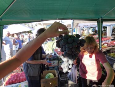 Ветка винограда на рынке