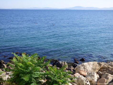 Красивое море в Болгарии фото