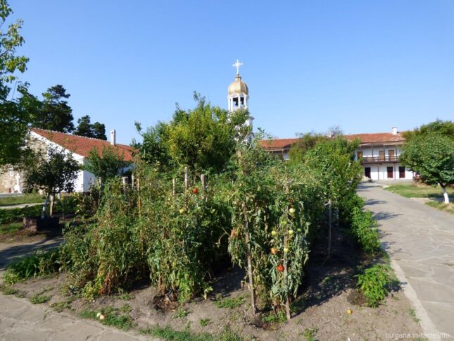 Огород в монастыре в Болгарии
