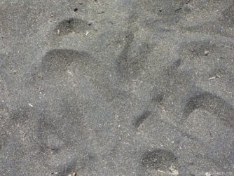 Черный песок на пляже рядом с Ахелоем