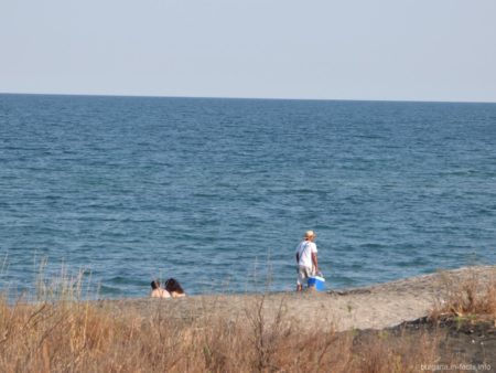 Кукуруза на побережье Помория