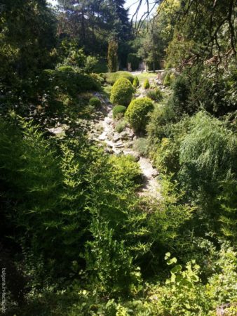 Живописные пейзажи в ботаническом саду Балчика