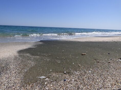 Дикий пляж на песчаной косе в Поморие
